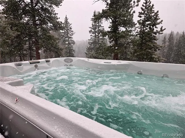 57 Trout Creek Circle Divide, CO 80814