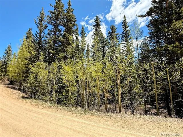 324 Bauxite Lane Fairplay, CO 80440