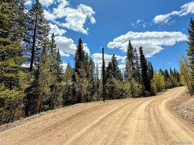 324 Bauxite Lane Fairplay, CO 80440