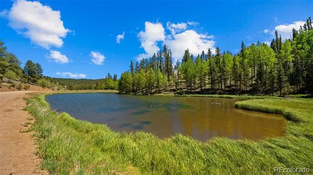 506 Ridge Road Divide, CO 80814