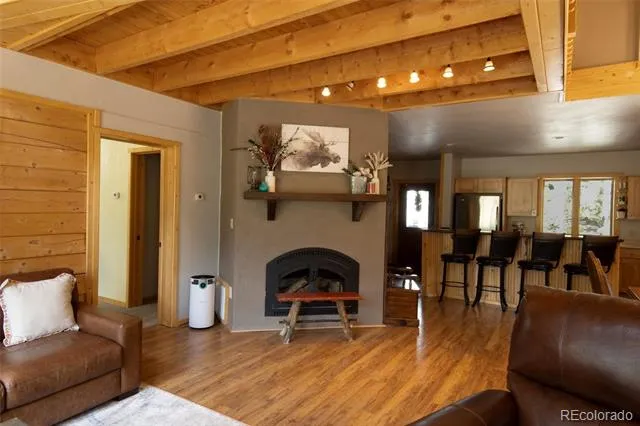 2842 Wendt Lane Fort Garland, CO 81133