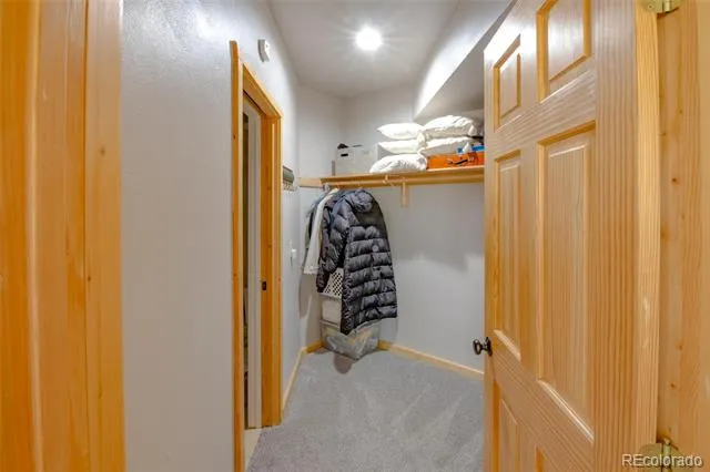 2842 Wendt Lane Fort Garland, CO 81133