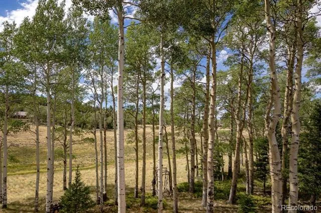 2842 Wendt Lane Fort Garland, CO 81133