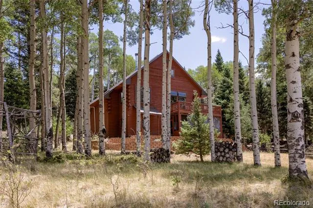 2842 Wendt Lane Fort Garland, CO 81133