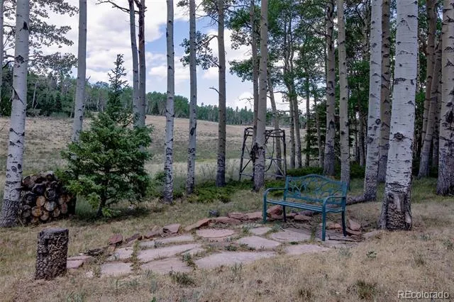 2842 Wendt Lane Fort Garland, CO 81133
