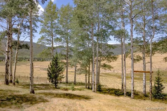 2842 Wendt Lane Fort Garland, CO 81133