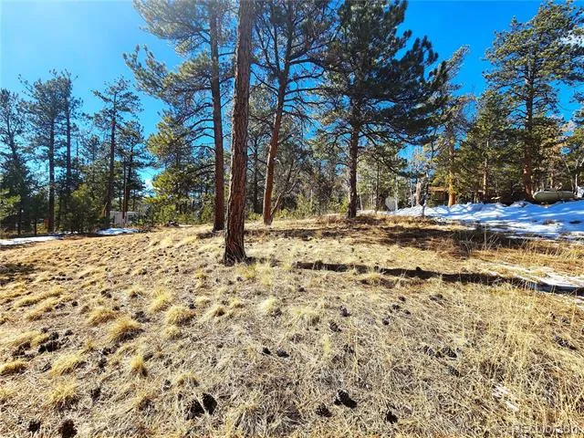 144 Gray Street Bailey, CO 80421