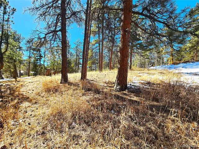 144 Gray Street Bailey, CO 80421