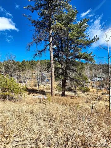 144 Gray Street Bailey, CO 80421