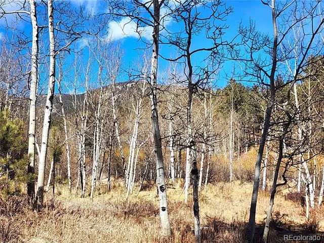 144 Gray Street Bailey, CO 80421