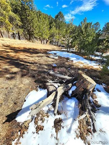 144 Gray Street Bailey, CO 80421