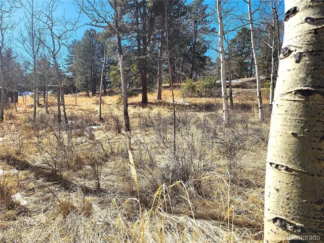 144 Gray Street Bailey, CO 80421