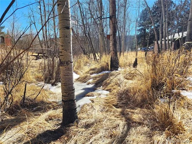 144 Gray Street Bailey, CO 80421