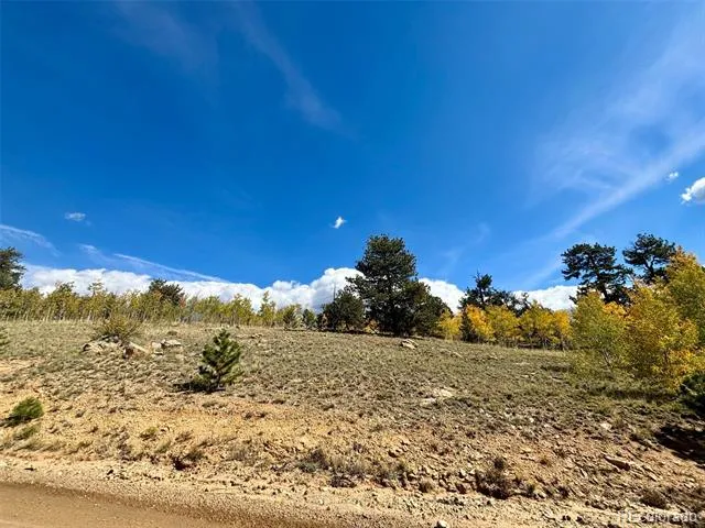 890 Mcdowell Drive Jefferson, CO 80456