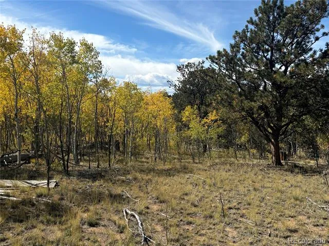 890 Mcdowell Drive Jefferson, CO 80456