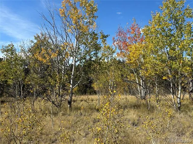 890 Mcdowell Drive Jefferson, CO 80456