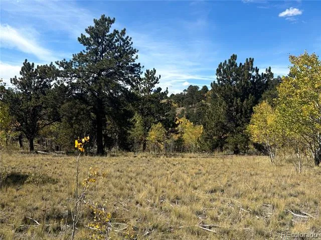 890 Mcdowell Drive Jefferson, CO 80456