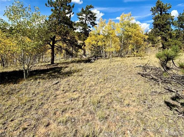 890 Mcdowell Drive Jefferson, CO 80456