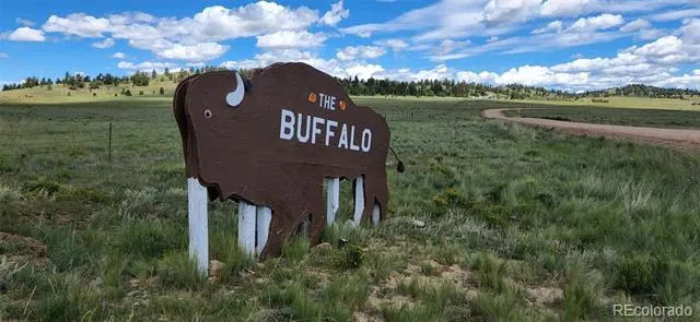 890 Mcdowell Drive Jefferson, CO 80456
