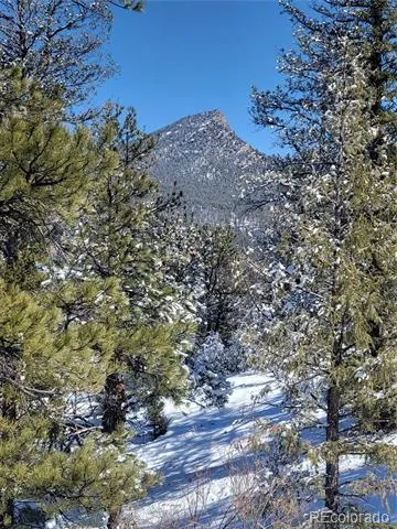 17016 Icehouse Court Pine, CO 80470