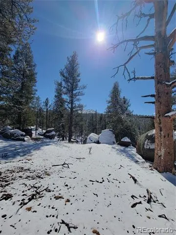 17016 Icehouse Court Pine, CO 80470