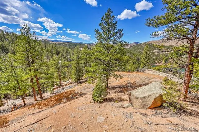 17016 Icehouse Court Pine, CO 80470