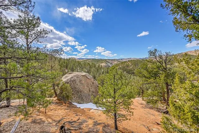 17016 Icehouse Court Pine, CO 80470