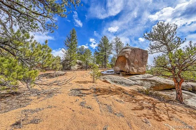 17016 Icehouse Court Pine, CO 80470
