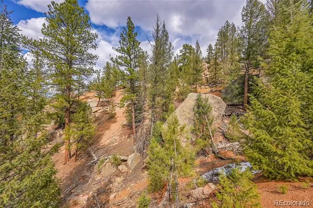 17016 Icehouse Court Pine, CO 80470
