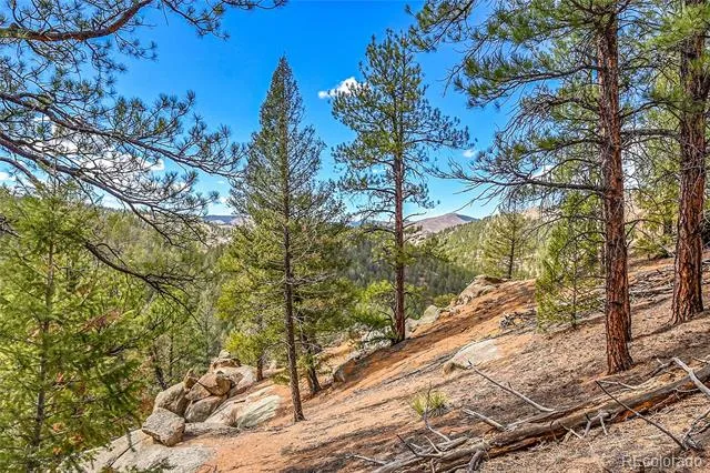 17016 Icehouse Court Pine, CO 80470