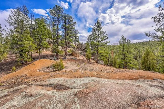 17016 Icehouse Court Pine, CO 80470