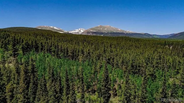 4100 CO RD 1 Fairplay, CO 80440