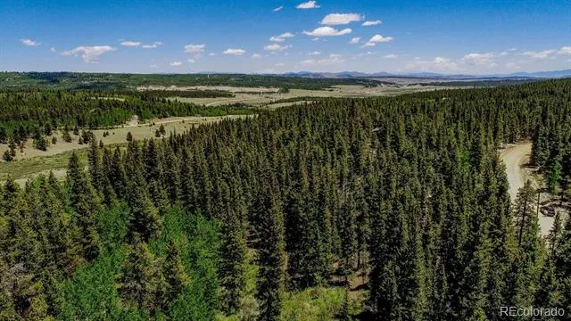 4100 CO RD 1 Fairplay, CO 80440