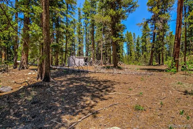 4100 CO RD 1 Fairplay, CO 80440