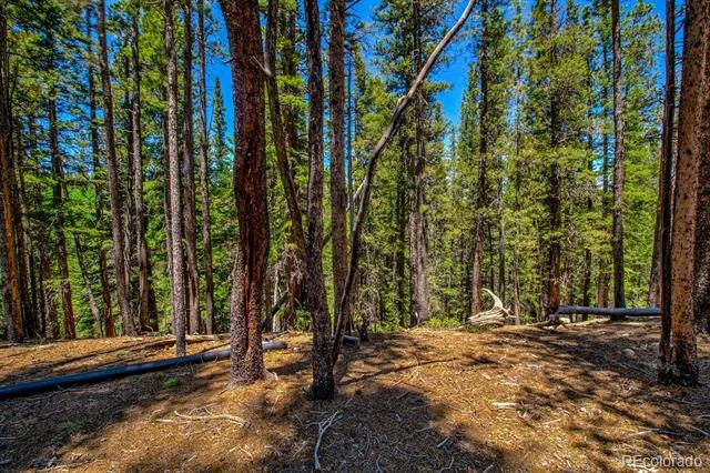 4100 CO RD 1 Fairplay, CO 80440