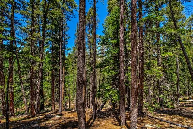4100 CO RD 1 Fairplay, CO 80440