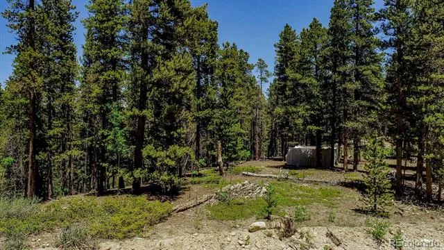 4100 CO RD 1 Fairplay, CO 80440