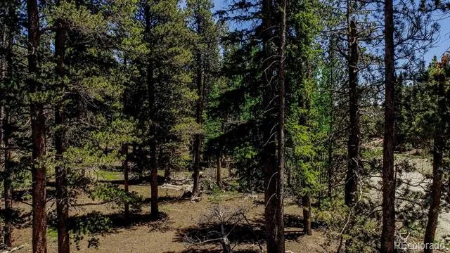 4100 CO RD 1 Fairplay, CO 80440