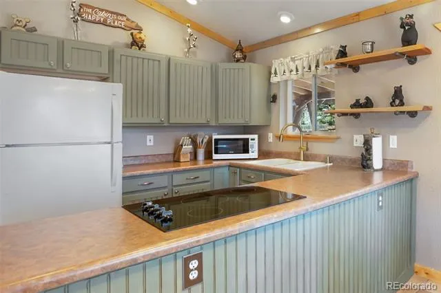 31 Handcart Circle Florissant, CO 80816