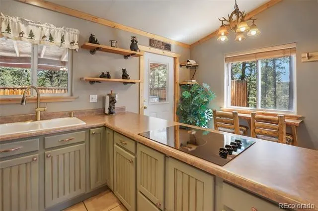 31 Handcart Circle Florissant, CO 80816