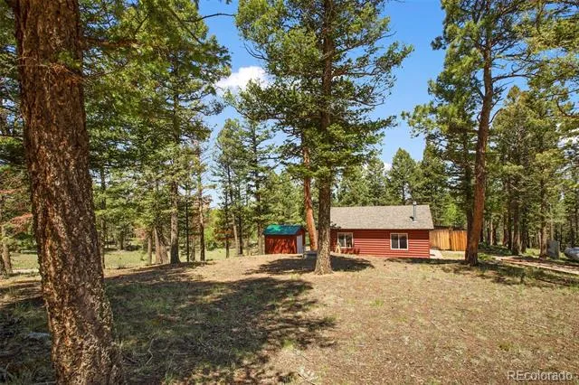 31 Handcart Circle Florissant, CO 80816