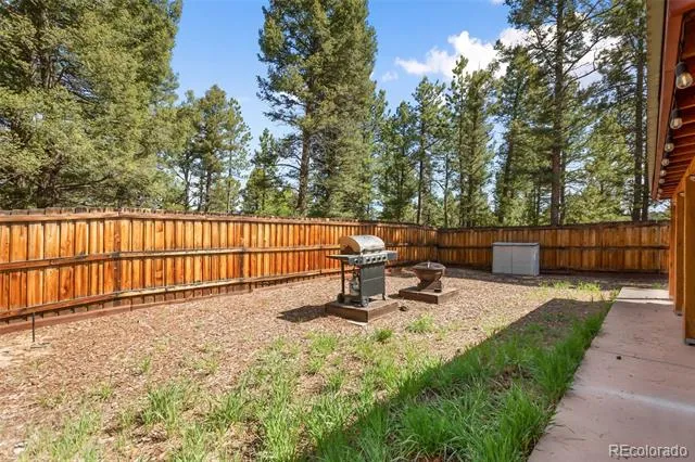 31 Handcart Circle Florissant, CO 80816