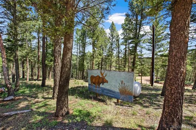 31 Handcart Circle Florissant, CO 80816