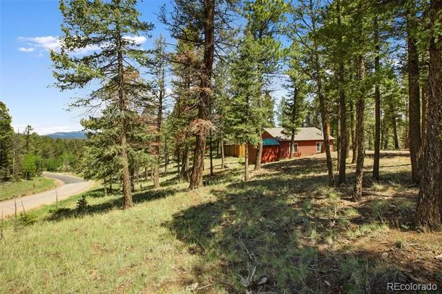 31 Handcart Circle Florissant, CO 80816