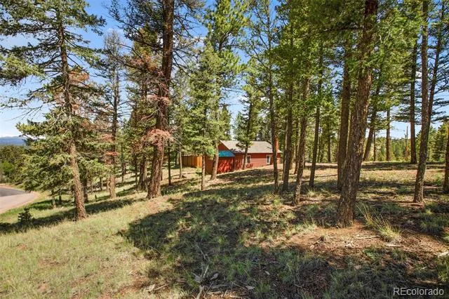 31 Handcart Circle Florissant, CO 80816