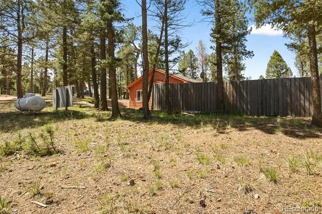 31 Handcart Circle Florissant, CO 80816
