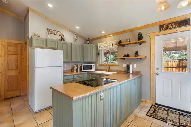 31 Handcart Circle Florissant, CO 80816