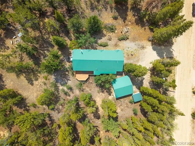 2095 Mullenville Road Fairplay, CO 80440
