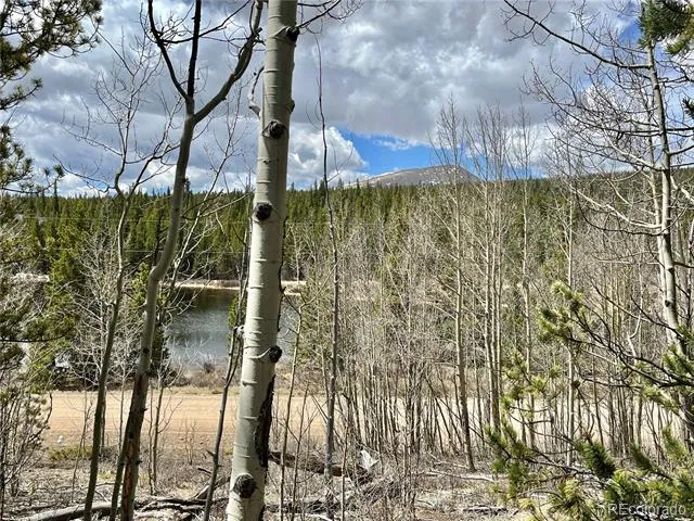 2203 Lakeside Drive Fairplay, CO 80440