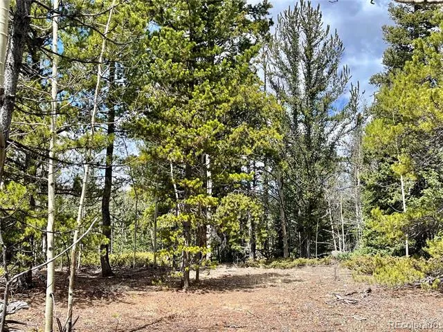 2203 Lakeside Drive Fairplay, CO 80440